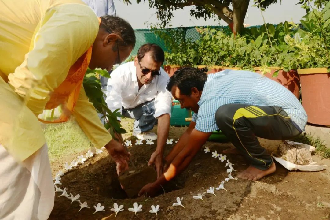 The tree plantation program was completed on the occasion of ‘World Environment Day at Dev Sanskriti Vishwavidyalaya